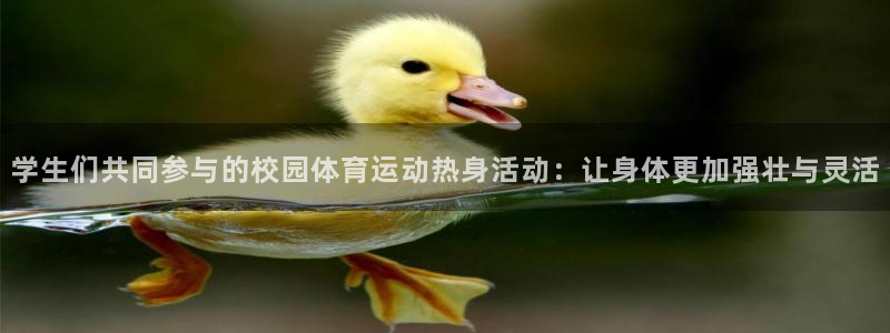 学生们共同参与的校园体育运动热身活动：让身体更加强壮与灵活