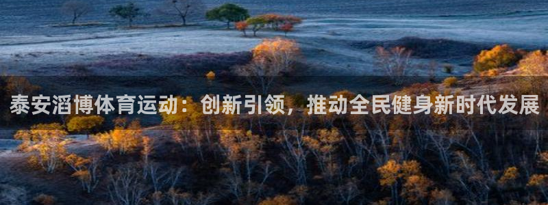 泰安滔博体育运动：创新引领，推动全民健身新时代发展