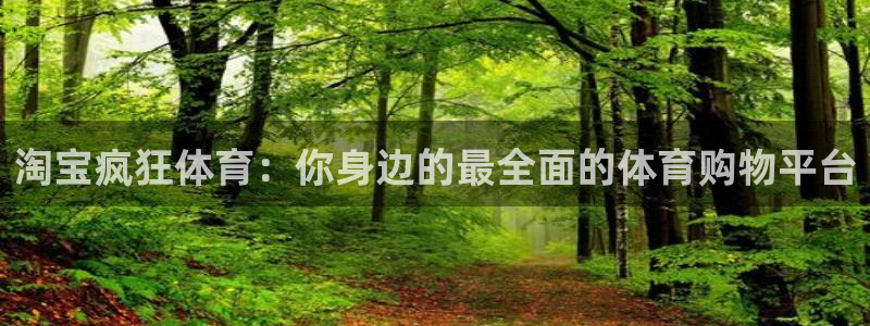 淘宝疯狂体育：你身边的最全面的体育购物平台