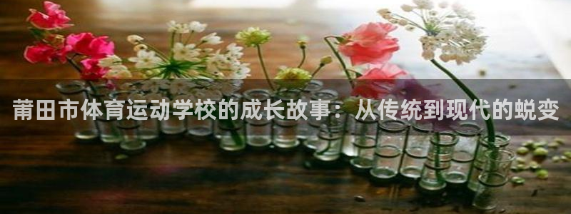 莆田市体育运动学校的成长故事：从传统到现代的蜕变
